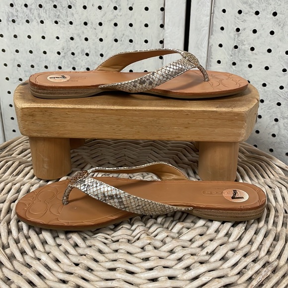 Coach - Picture 4 of 10